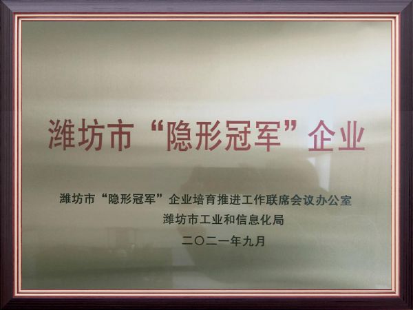 潍坊市隐形冠 军