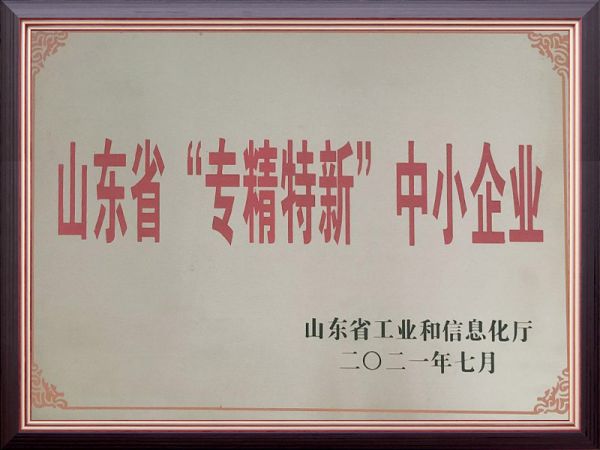 山东省专精特新中小企业