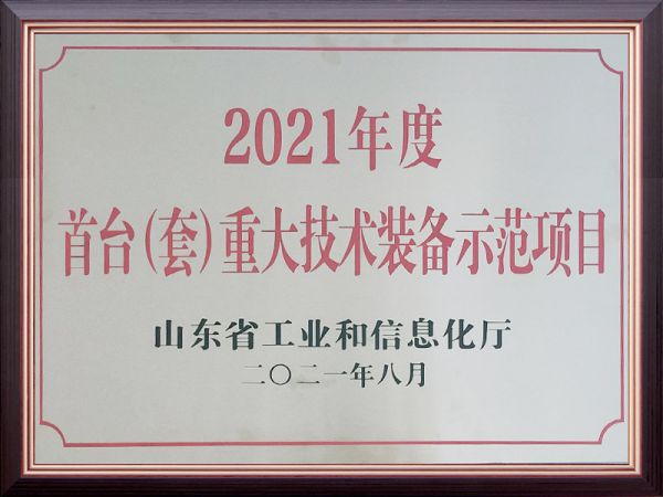 2021年度首台(套)重大技术装备示范项日