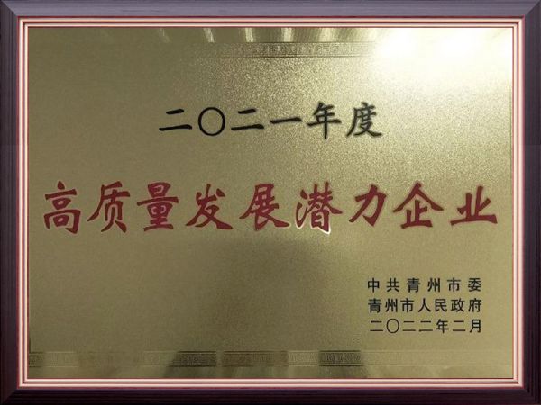 2021年度**发展潜力企业